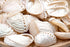 champagne abalone shells